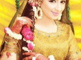 Bridal Mehndi Dresses 2026