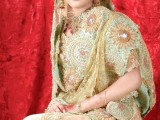 Bridal Walima Dresses 2026