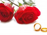 Valentine's day red roses