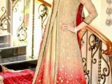 elegant bridal dress
